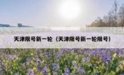 天津限号新一轮（天津限号新一轮限号）