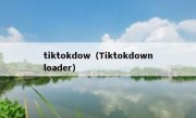 tiktokdow（Tiktokdownloader）