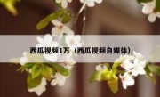 西瓜视频1万（西瓜视频自媒体）