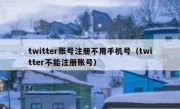 twitter账号注册不用手机号（twitter不能注册账号）