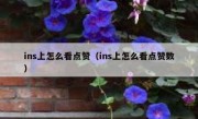 ins上怎么看点赞（ins上怎么看点赞数）