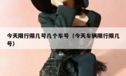 今天限行限几号几个车号（今天车辆限行限几号）