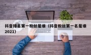 抖音排名第一粉丝是谁（抖音粉丝第一名是谁2021）