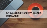 为什么ins莫名其妙被关注了（ins突然被很多人关注）