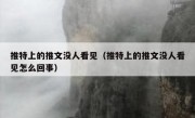 推特上的推文没人看见（推特上的推文没人看见怎么回事）