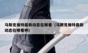 马斯克推特最新动态在哪看（马斯克推特最新动态在哪看啊）