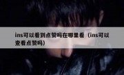 ins可以看到点赞吗在哪里看（ins可以查看点赞吗）
