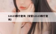 12123限行查询（交管12123限行查询）