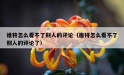 推特怎么看不了别人的评论（推特怎么看不了别人的评论了）