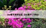ins看不到评论区（ins看不了评论）