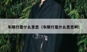 车限行是什么意思（车限行是什么意思啊）