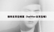 推特主页在哪里（twitter主页在哪）