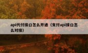 api代付接口怎么开通（支付api接口怎么对接）