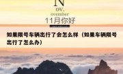 如果限号车辆出行了会怎么样（如果车辆限号出行了怎么办）