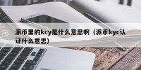派币里的kcy是什么意思啊（派币kyc认证什么意思）