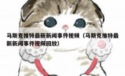 马斯克推特最新新闻事件视频（马斯克推特最新新闻事件视频回放）