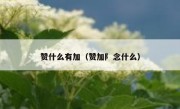 赞什么有加（赞加阝念什么）