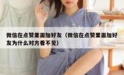 微信在点赞里面加好友（微信在点赞里面加好友为什么对方看不见）
