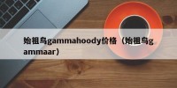 始祖鸟gammahoody价格（始祖鸟gammaar）