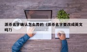 派币名字确认怎么弄的（派币名字要改成英文吗?）