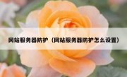 网站服务器防护（网站服务器防护怎么设置）