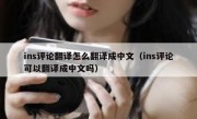 ins评论翻译怎么翻译成中文（ins评论可以翻译成中文吗）