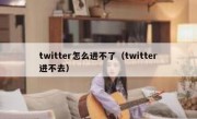 twitter怎么进不了（twitter进不去）