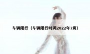 车辆限行（车辆限行时间2022年7月）