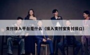 支付接入平台是什么（接入支付宝支付接口）