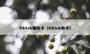 tiktok辅助卡（tiktok助手）