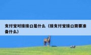 支付宝对接接口是什么（接支付宝接口需要准备什么）