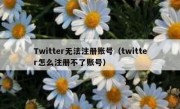 Twitter无法注册账号（twitter怎么注册不了账号）