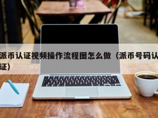 派币认证视频操作流程图怎么做（派币号码认证）