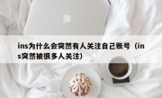 ins为什么会突然有人关注自己账号（ins突然被很多人关注）