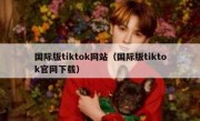 国际版tiktok网站（国际版tiktok官网下载）