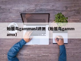 始祖鸟gammasl评测（始祖鸟gammamx）