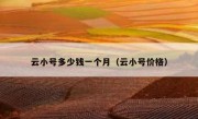云小号多少钱一个月（云小号价格）