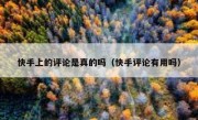 快手上的评论是真的吗（快手评论有用吗）