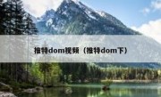 推特dom视频（推特dom下）