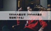 tiktok火遍全球（tiktok火遍全球说明了什么）