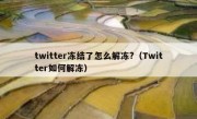 twitter冻结了怎么解冻?（Twitter如何解冻）