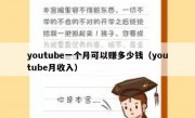 youtube一个月可以赚多少钱（youtube月收入）