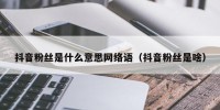 抖音粉丝是什么意思网络语（抖音粉丝是啥）