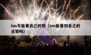 ins不能看自己的赞（ins能看到自己的点赞吗）