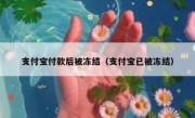 支付宝付款后被冻结（支付宝已被冻结）