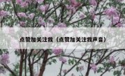 点赞加关注我（点赞加关注我声音）