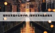 推特主页是什么样子的（推特主页和最新推文）