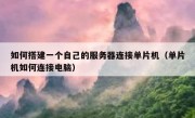 如何搭建一个自己的服务器连接单片机（单片机如何连接电脑）