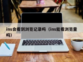 ins会看到浏览记录吗（ins能看浏览量吗）