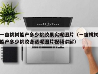 一亩桃树能产多少桃胶果实呢图片（一亩桃树能产多少桃胶合适呢图片视频讲解）